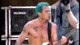 Red Hot Chili Peppers  Easily live  Woodstock 99 [upl. by Bornie]