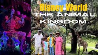 Disney World  The Animal Kingdom [upl. by Enihsnus]