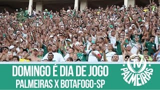 Hoje é dia de Palmeiras [upl. by Goerke]