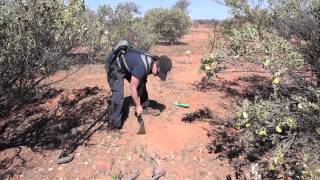 Gold Prospecting Cue WA [upl. by Jermain]