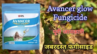 UPL Company Ka Avancer Glow Fungicide  जबरदस्त फंगीसाइड [upl. by Ahseken]