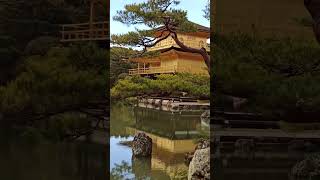 Kinkakuji Temple [upl. by Cherey609]