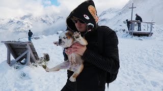 AUF 2000 METER HÖHE mit Pablo 🐶❤ [upl. by Egiaf]