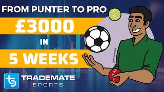 My Journey from Punter to Professional Sports Bettor  Making £3k in 5 weeks using Trademate [upl. by Notsob824]