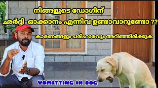 Vomiting in Dogs  Reasons for dog vomiting in malayalam dogvomiting doghealth kunjansmedia [upl. by Oneg138]