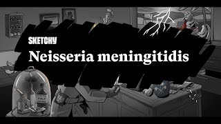 Neisseria Meningitidis Meningitis Causes amp Prevention Part 1  Sketchy Medical  USMLE Step 1 [upl. by Haidebej520]