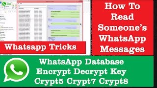 WhatsApp Database Encrypt Decrypt Key for WhatsApp Viewer  WhatsApp Tricks amp Tweaks [upl. by Anahcar]