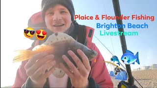 🔴 Plaice amp Flounder Fishing Brighton Live 🔴 [upl. by Milt583]