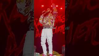 Te tiran una piedra anuel 😱 anuel musica parati [upl. by Novehc]