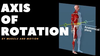 Understanding Axes of MovementRotation [upl. by Auburta14]