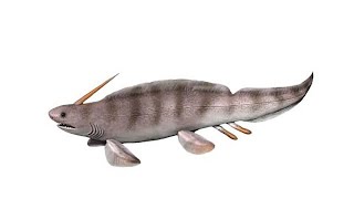 Devonian Period Xenacanthus shark Sounds [upl. by Narrad]