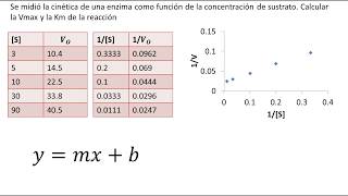 Cinética Enzimática  Diagrama de LineweaverBurk  Ejemplo [upl. by Wakeen94]
