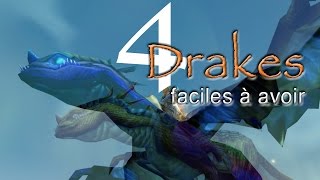 Tutoriel monture WoW Fr 4 Drakes faciles à avoir  EDEL [upl. by Ettennal16]