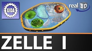 Trailer  Zelle I  Biologie  3D Software [upl. by Zoba778]