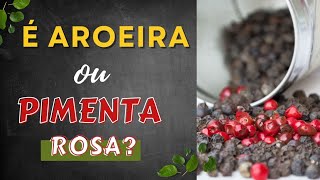 AROEIRAA PLANTA MEDICINAL QUE PRODUZ A PIMENTA ROSABora pra Roça [upl. by Lyrrad709]