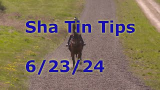 🏇Hong Kong Horse Racing Tips 6232024  Sha Tin [upl. by Saref]