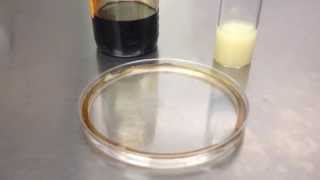 Biosurfactant clearing crude oil [upl. by Dotson462]