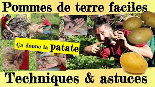 Pommes de terre faciles Astuces et techniques de productions [upl. by Ardelia]