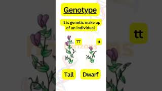 Heredity Class 10th cbse shorts biology class10 science [upl. by Ninerb941]