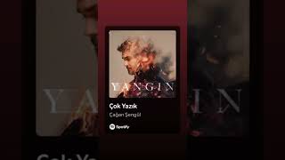 kpopidol spotify keşfetbeniöneçıkar sessiz kpop jungkook [upl. by Cattier907]