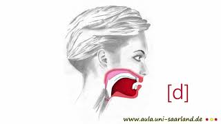 CÓMO PRONUNCIAR LA D EN ESPAÑOL– PARA VISUALIZAR Y PRACTICAR – OCLUSIVAS ej Dinamarca d [upl. by Alika]