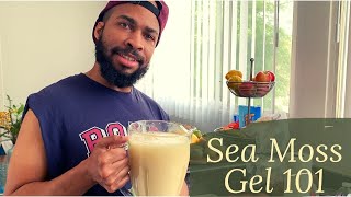 HOW TO Make IRISH SEA MOSS Gel  KeenansCorner [upl. by Akihsar699]