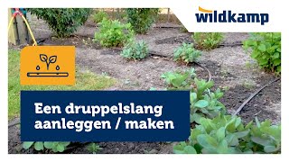 Een druppelslang aanleggen  maken  installeren [upl. by Anialem183]