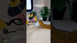 Showing my Bearded Dragon The ✨Dragon Puppets✨ dragonpuppet paperdragon [upl. by Washko355]