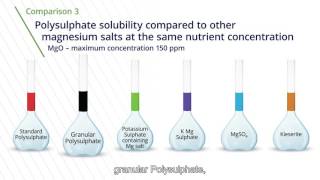 Understanding Polysulphate solubility and release of nutrients [upl. by Allison]