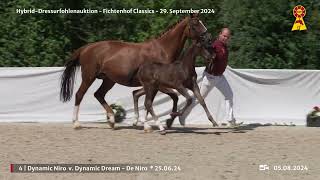 Lot 4 v Dynamic Dream  De Niro [upl. by Olympias]