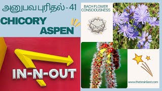 CHICORY  ASPEN  BACH FLOWER CONSCIOUSNESSஅனுபவ புரிதல்  41 thebrainliest malarmaruthuvam [upl. by Telrahc986]