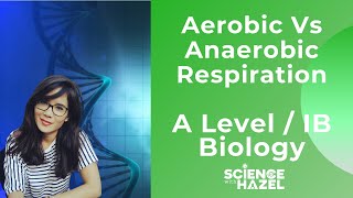 Aerobic Vs Anaerobic Respiration  A level amp IB Biology  Science with Hazel [upl. by Mann]