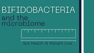 Bifidobacteria  Role in Gut Health  Weight Loss [upl. by Clarkson]