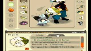 Dofus  Seigneurabsorption  Sacrieur  188  Eau  Hel munster [upl. by Ardet]