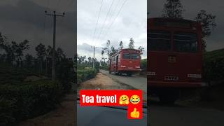 how amazing is this beautiful tea garden travel with Rama 🤗🤗😂👍 srilanka thininsrilanka shinhala [upl. by Varien]