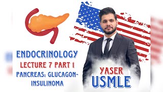 Endocrine Lecture 7a Pancreas  Glucagon USMLE Step1  Dr Yaser [upl. by Hanikas582]