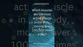 Interesting Facts  Most active muscle in the body moving over 100000 times a day  shorts facts [upl. by Narol839]