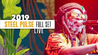 Steel Pulse  Full Set live at California Roots 2019 [upl. by Enyawd]