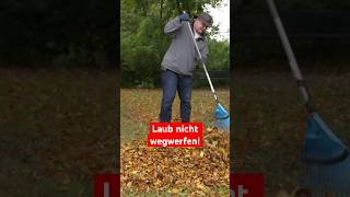 Laub nicht wegwerfen [upl. by Herta]