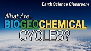 What Are The Different Types Of Biogeochemical Cycles [upl. by Nirraj]