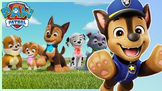 PAW Patrol  Season 11 Opening [upl. by Townie]