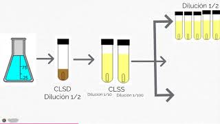 Microbiologia de agua NMPColilertfiltración por membrana [upl. by Ysdnil]