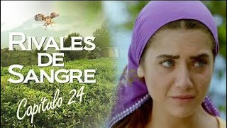 RIVALES DE SANGRE CAPITULO 24 COMPLETO [upl. by Marylou]