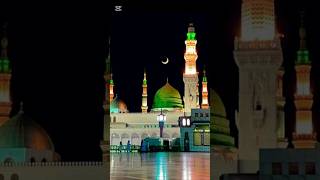 Faslon ko takaluf hain islamicvideo religion madinaviralvideo islamicstatus naat [upl. by Tai875]