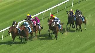 Estadio Mestalla Wins Race 7 at Rosehill on Saturday 3rd Feb for the NSW Tycoons [upl. by Alekim]