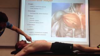 Pectoralis Major Palpation Manual Therapy and Stretch [upl. by Parlin]