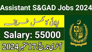 Assistant SampGAD Jobs 2024  Latest PPSC Jobs 2024  New Government Jobs 2024 [upl. by Rainie]