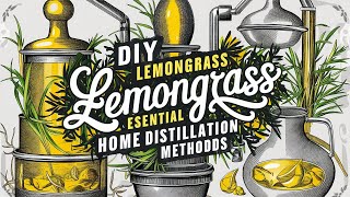 Lemongrass Essential Oil Distillation StepbyStep Guide [upl. by Etnwahs]