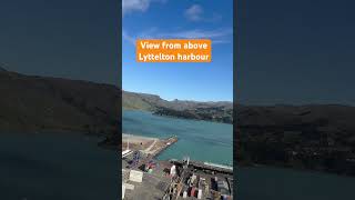 View from above Lyttelton harbour shorts fyp view sea [upl. by Hosbein]