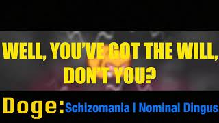 Schizomania Lyrics [upl. by Aikrehs891]